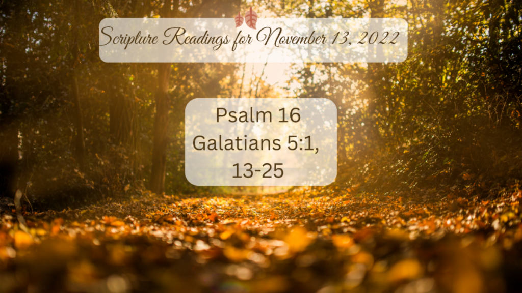 Worship for Sunday, November 13, 2022